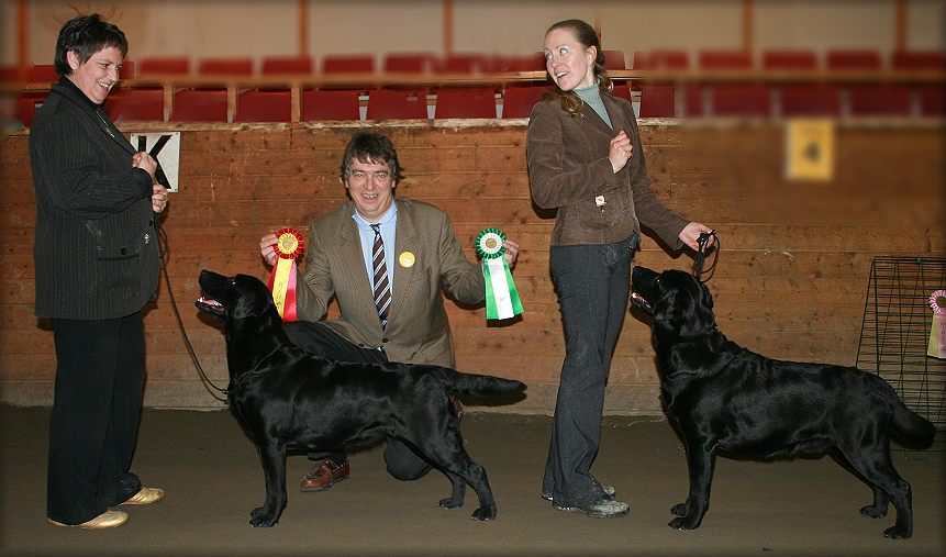 SV-07 CH Tjottes For Heavens Sake BOB & CH Tjottes Famous For Nothing BOS